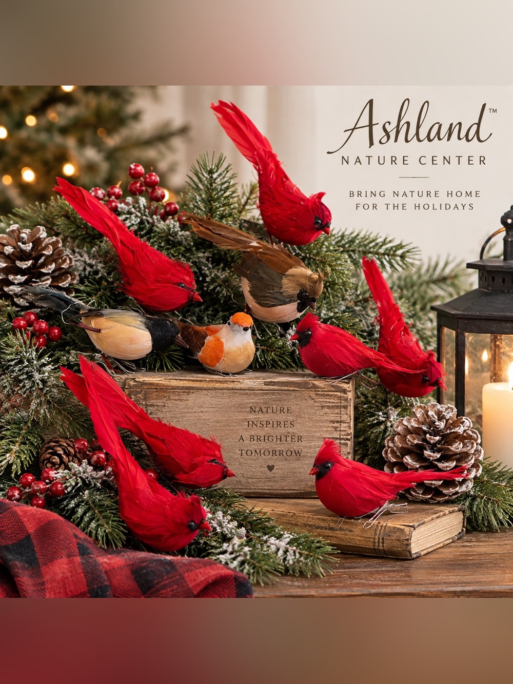 Ashland Nature Center Cardinal Bird Christmas Decor Ornaments Lot of 10